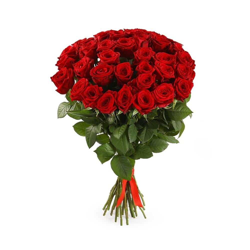 31 red roses