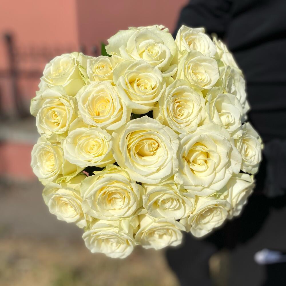 25 белых импортных роз