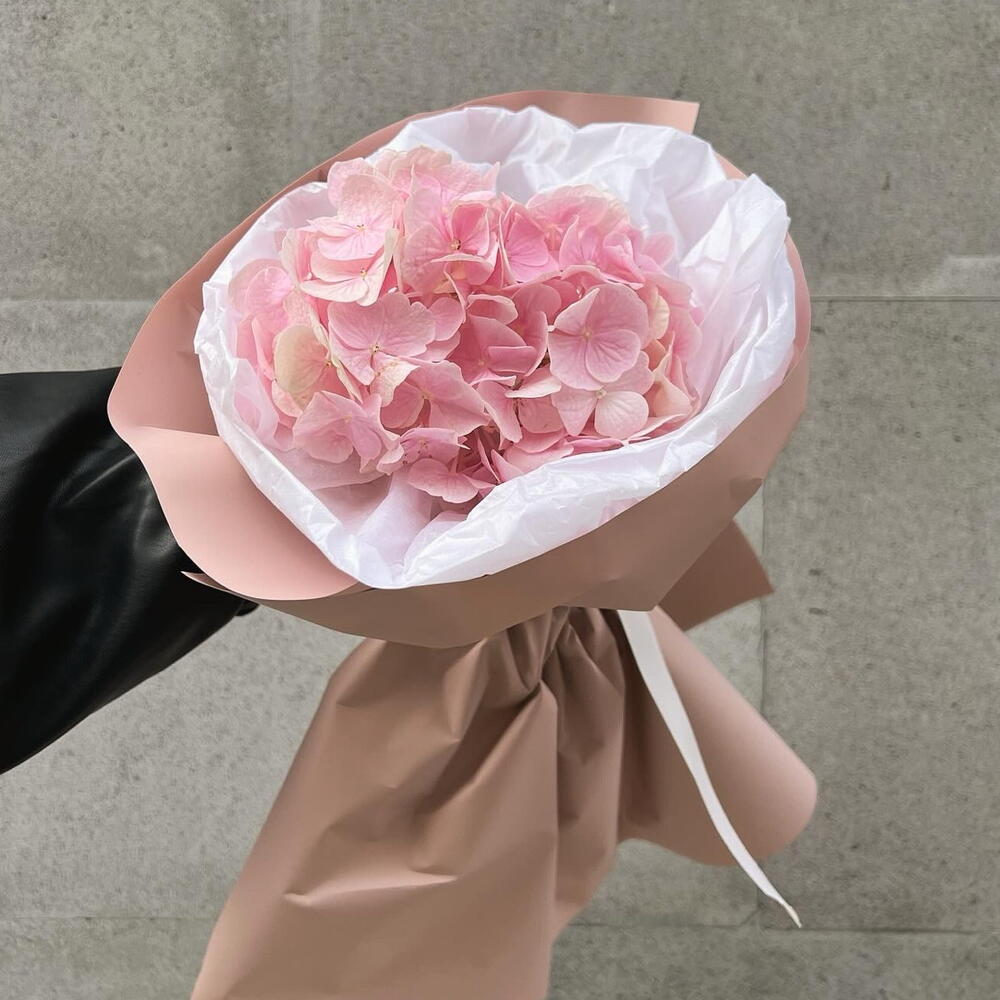 Hydrangea